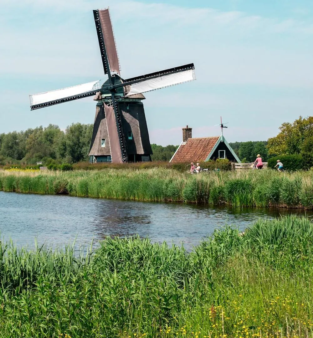 Little House In Amsterdam Bed & Breakfast